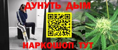 бошки Славгород