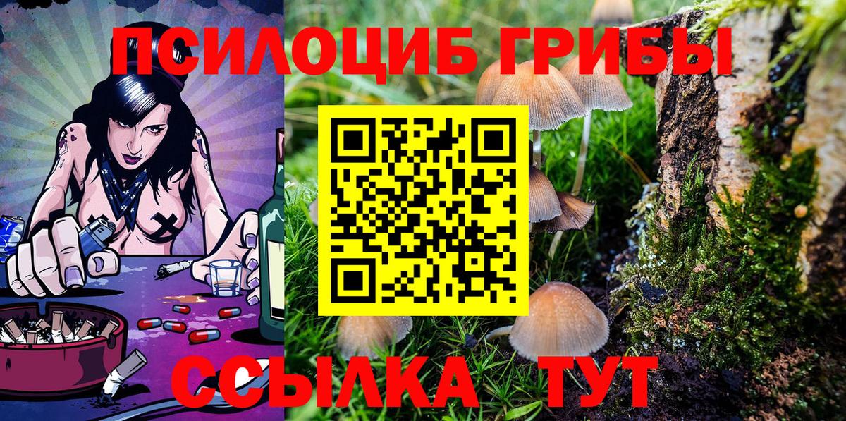 Галлюциногенные грибы MAGIC MUSHROOMS  Псилоцибиновые грибы мухоморы  Унеча  Вход с VPN 